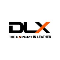 Delux International