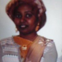 Lul Abdulle
