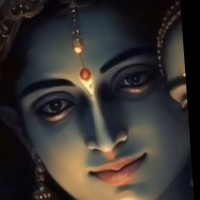 Pavani P
