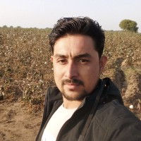Katiya Mohsin