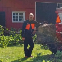 Jimmy Torstensson