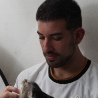David Jaffe Cartum