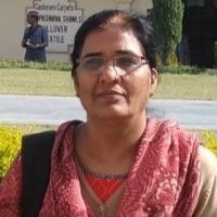 Ratan Paliwal