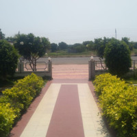 Amoil Patil