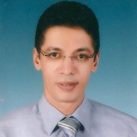 ayman elhalwany