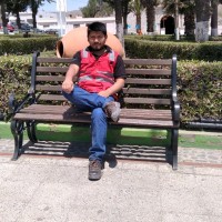 DARWIN RENZO TICONA SURCO