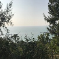 曲凤军