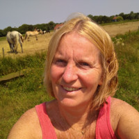 Patricia Kracht