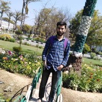 Pirzada Owais Shah