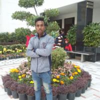 Suraj Kumar