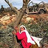 Nidal Tamimi