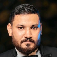 Elsayed Hassan