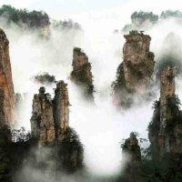 周大红