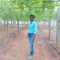 Somashekhar Mathapati