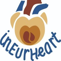 Ineurheart Eit Health Project