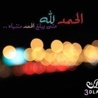 Noha M. Sayed