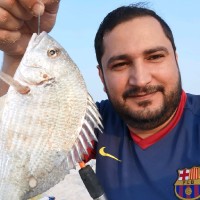 sadiq alnemer