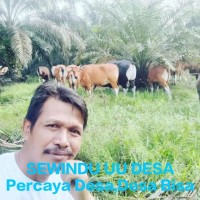 Masnyoto Di
