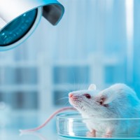 Small Animal Research Centre Dept. Of Toxicology-Pharmacology, Carekeralam Ltd.