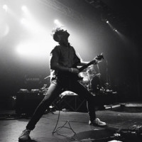 Andrew Rotunno