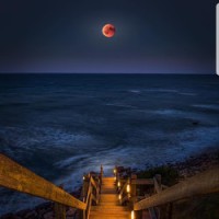 Life Moon