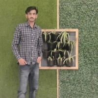 Vibhor Shaarma