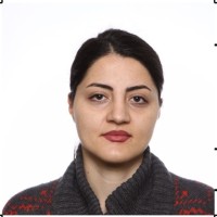 Elham Nakhostin