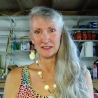 Diane H Holycross