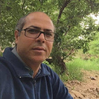 Raouf Mashhour