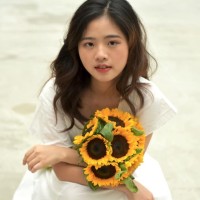 My Nguyen