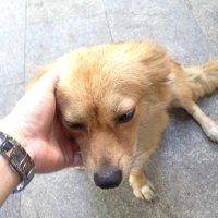 黄先森