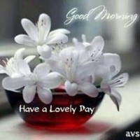 Ritu Priya