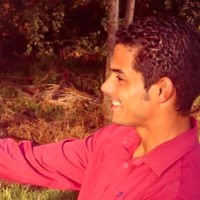Fabio Silva Alves