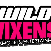 Vixen Media
