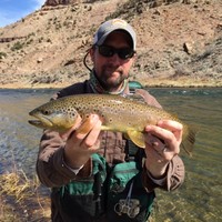 Mark Ward, REP