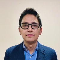 Ing. David Lasso Rodríguez. Mba - Mgp - PMP