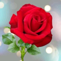 Ayesha Rajput