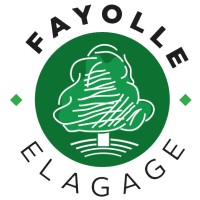 Damien Fayolle