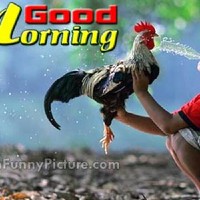 Binod Kumar Jha Kumar