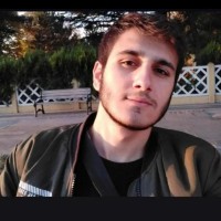 Vedat Ayaz