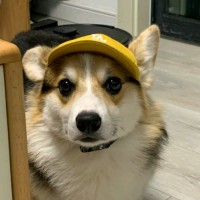 陈梓铭