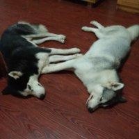 林善伟
