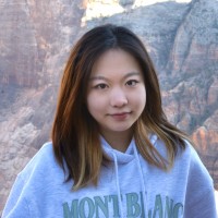 Yinuo Cheng