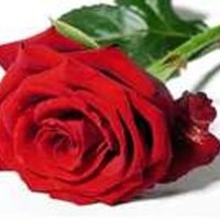 Ruffo López Aragón