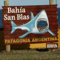 cecilia ines masciovecchio