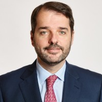 Francisco Goya Gato