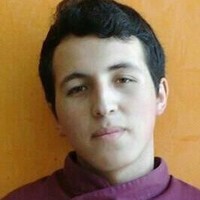 Nelter Diaz Chavez