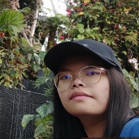 Zi Ying Lai