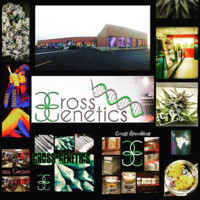 Cross Genetics