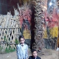 رضا السعيد